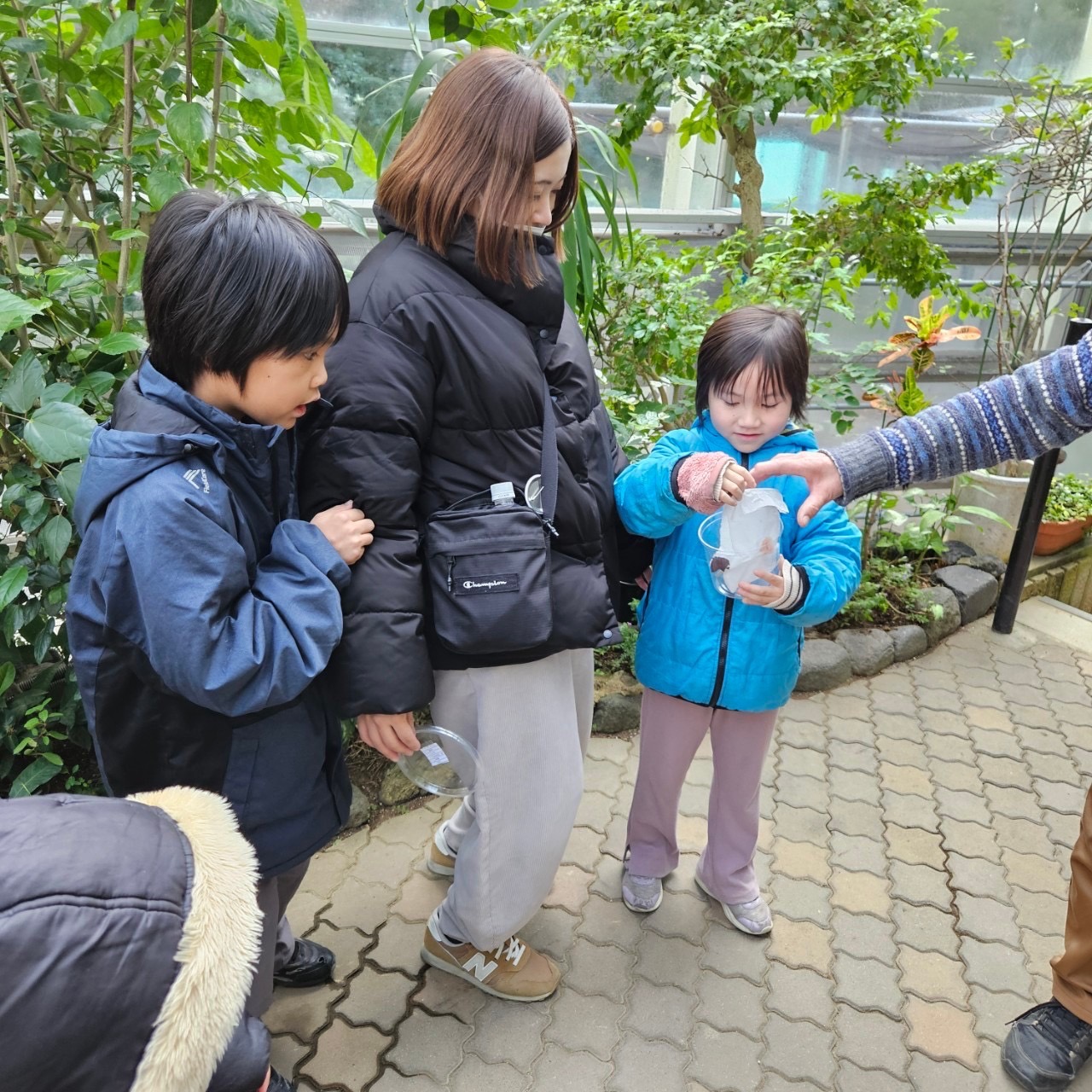 大阪市浪速区の放課後等デイサービスオハナピース大阪日本橋の花園町合同イベント、伊丹市昆虫館へおでかけ